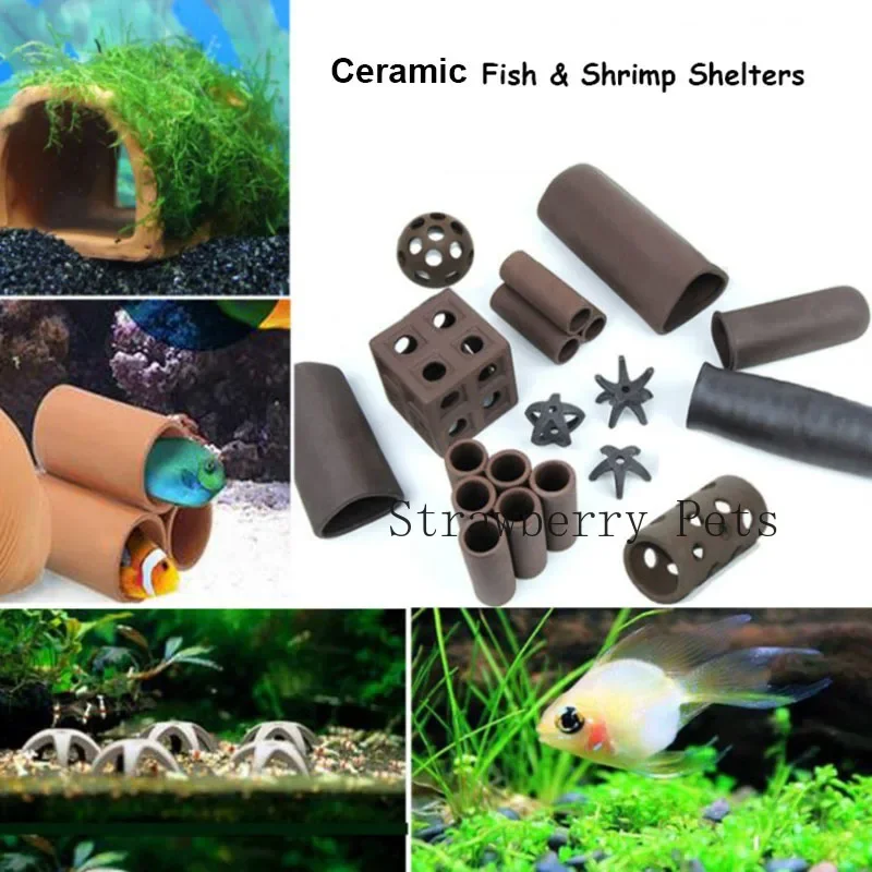 Decoración de acuario de cerám - Aquarium Plant Live reseña y precio