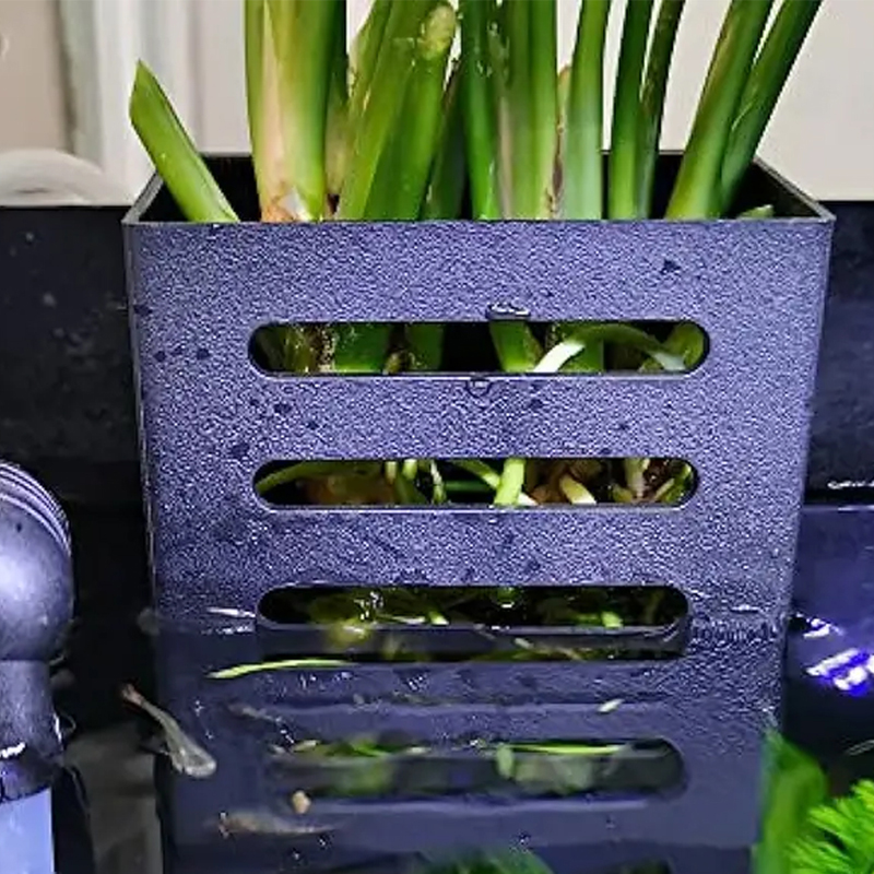 Decoraciones para peceras de m - Aquarium Plant Rings reseña y precio