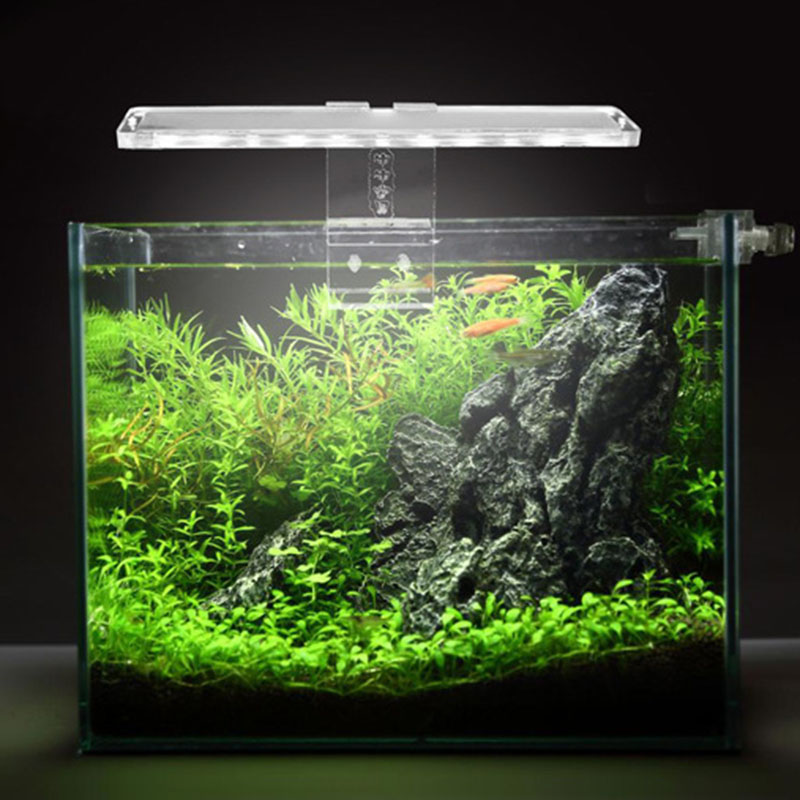 Lámpara LED para acuario, luz  - Planted Aquarium Best Fish reseña y precio