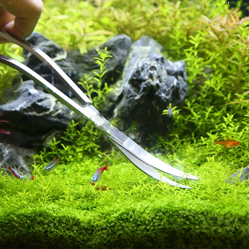 Herramientas de tijera para ac - Planted Aquarium Tool Kit reseña y precio