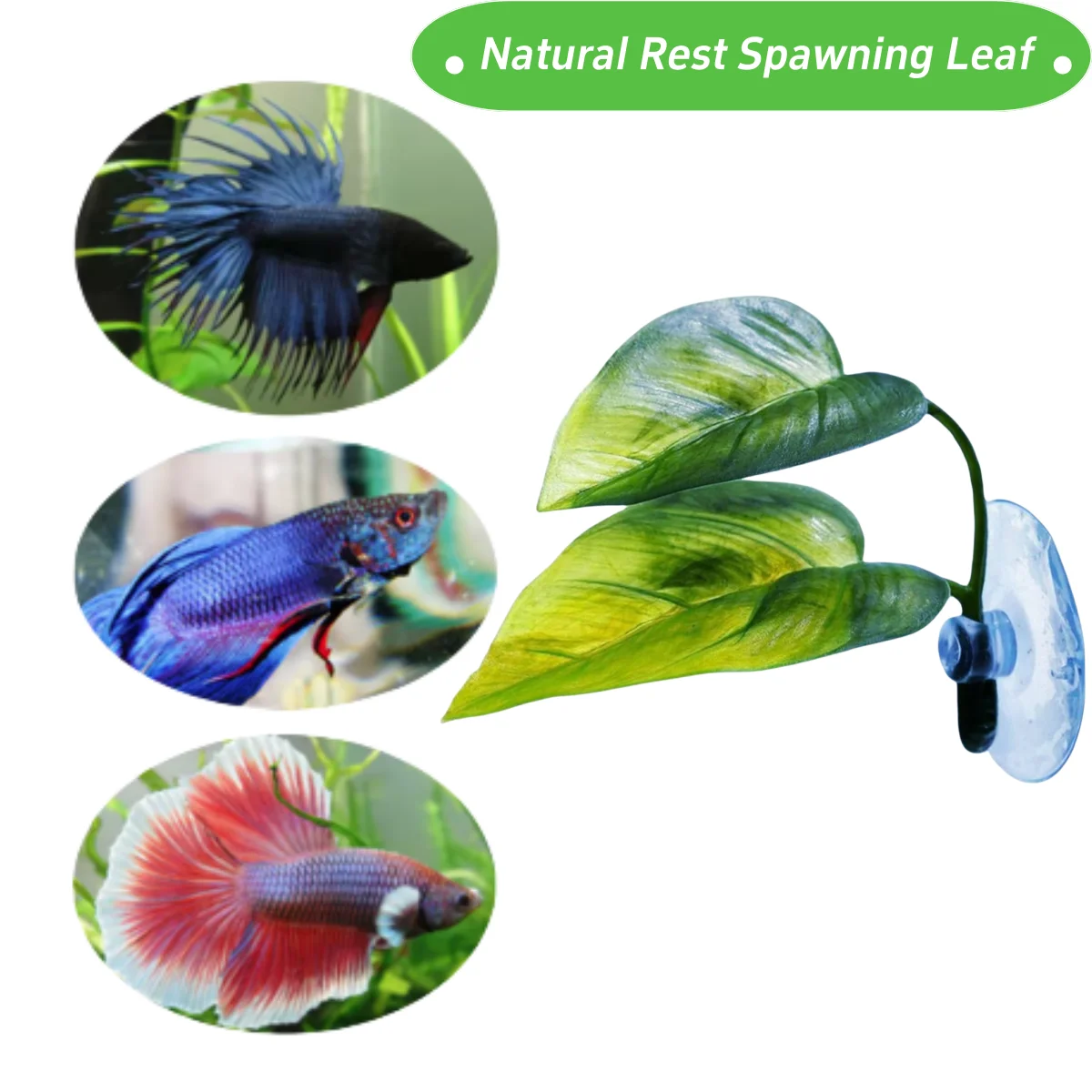 Decoración de pecera para masc - Aquarium Plant Rings reseña y precio