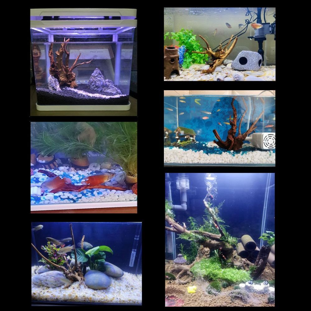 Tronco de Madera Natural para  - Aquarium Plant Rings reseña y precio