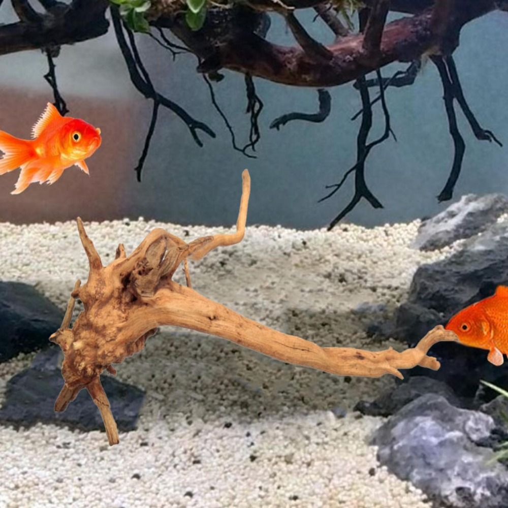 Tronco de Madera Natural para  - Aquarium Plant Rings reseña y precio