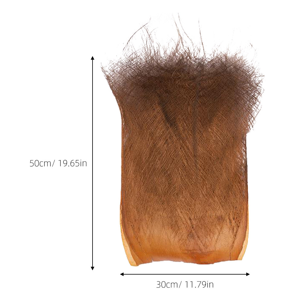 5 Hojas de Corteza de Palmera  - Aquarium Planted Background reseña y precio