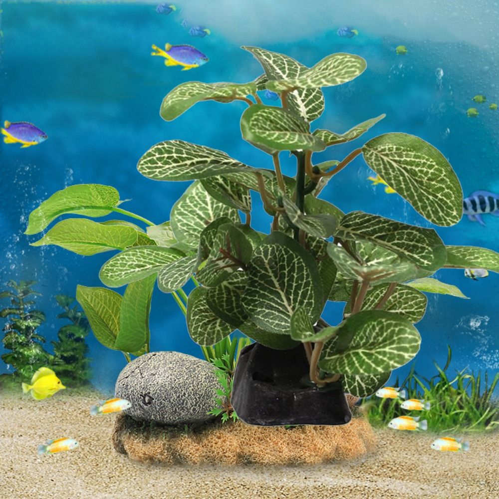 Plástico de seda verde para de - Planted Aquarium Jar reseña y precio