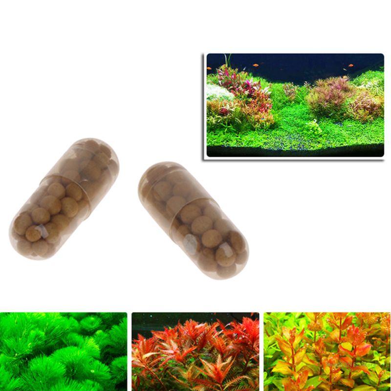 QX2E Acuario Planta viva Ferti - Planted Aquarium Best Fish reseña y precio