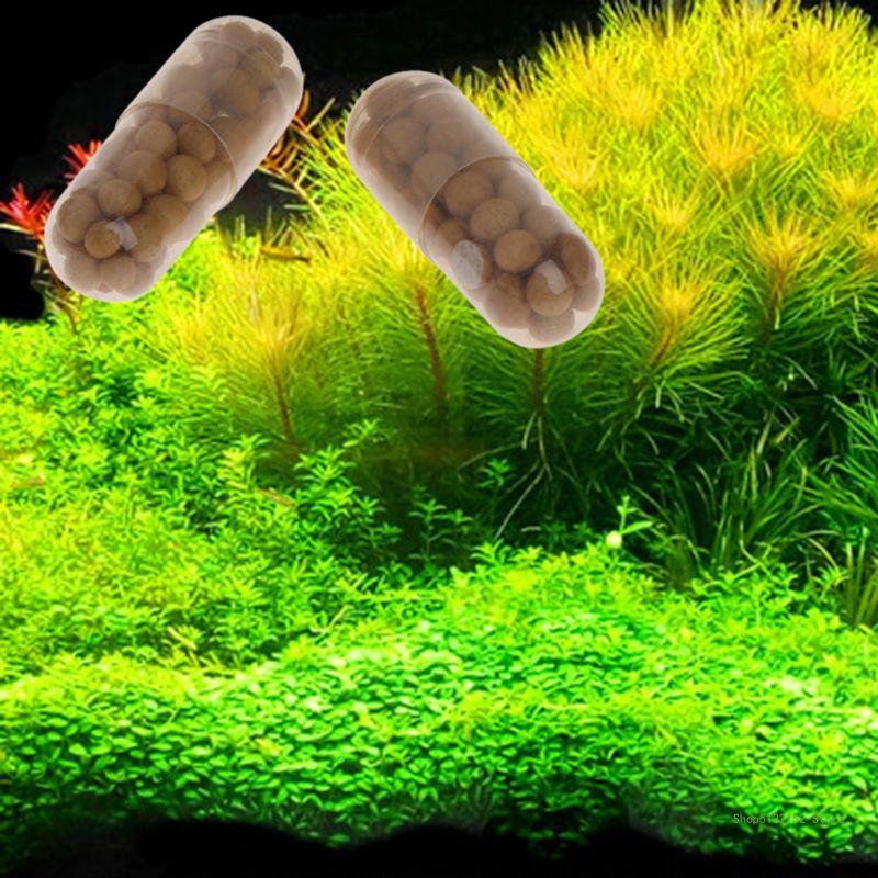 QX2E Acuario Planta viva Ferti - Planted Aquarium Best Fish reseña y precio