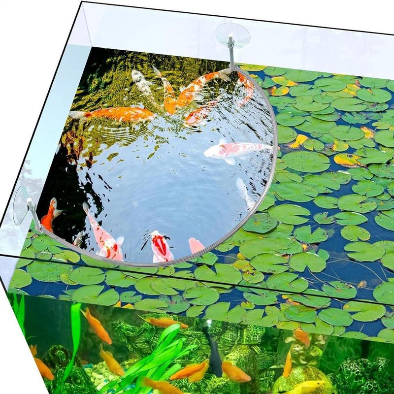 Anillo de alimentación de pece - Aquarium Plant Rings reseña y precio