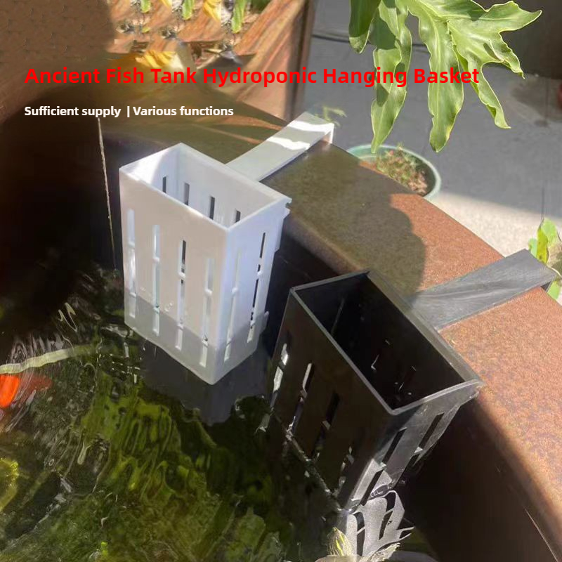 Cesta para plantas de acuario, - Aquarium Plant Rings reseña y precio