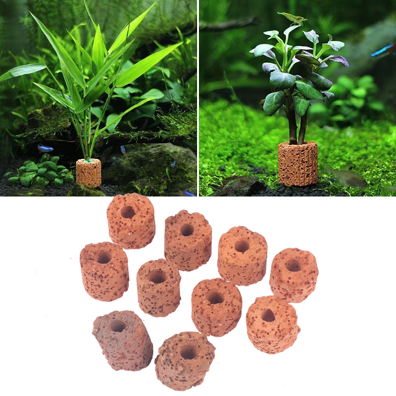 10 unidades de anillos cerámic - Aquarium Plant Rings reseña y precio