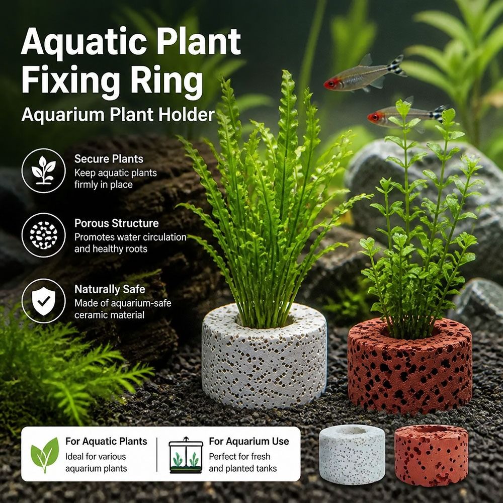 10 Anillos con Peso para Fijac - Planted Aquarium Pictures reseña y precio