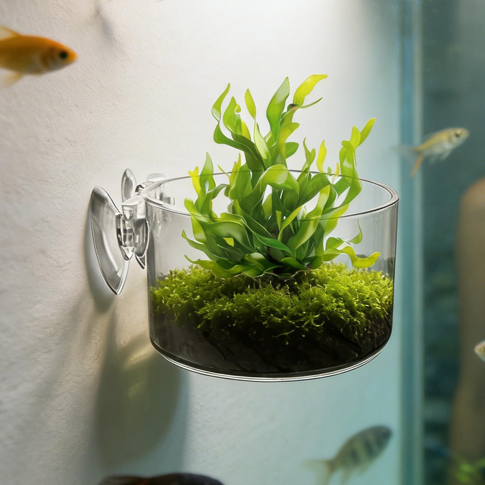 Soporte de Acrílico para Plant - Aquarium Planted Background reseña y precio