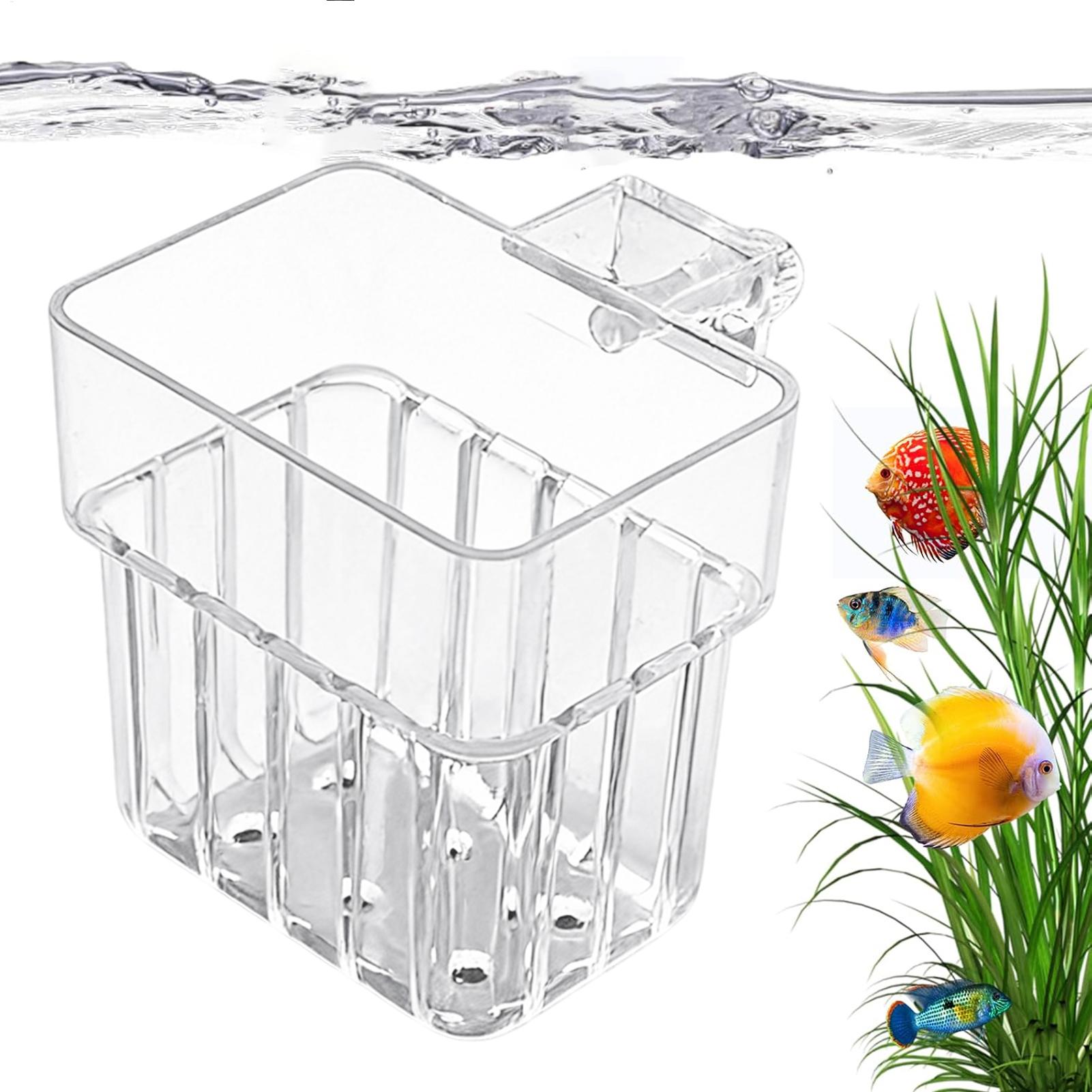 Soporte Transparente para Plan - Aquarium Plant Rings reseña y precio
