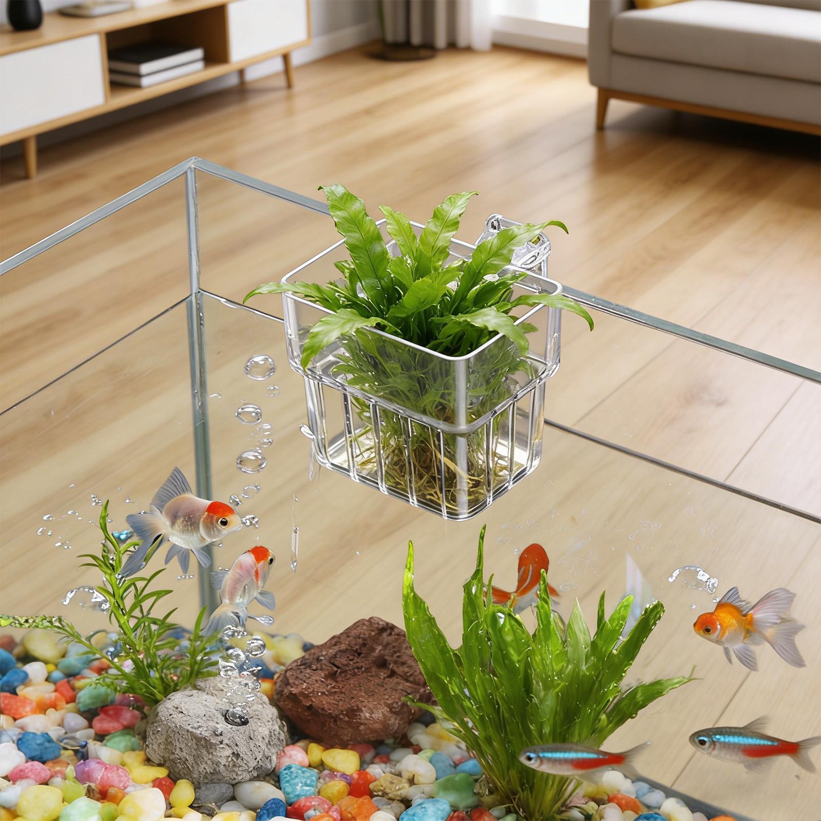 Soporte Transparente para Plan - Aquarium Plant Rings reseña y precio