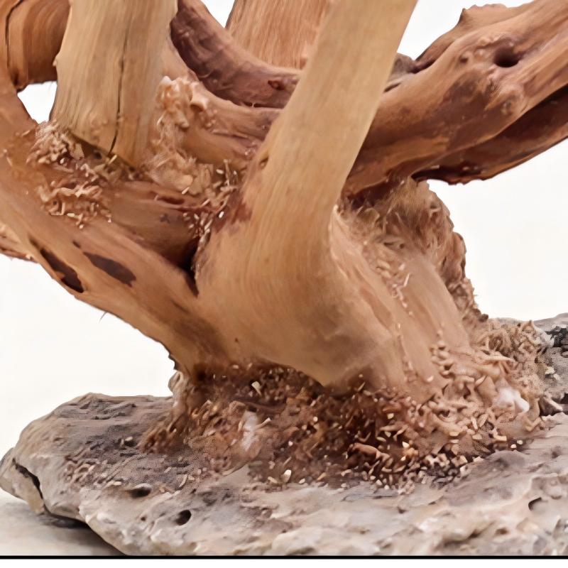 Adornos de madera para paisaji - Aquarium Plant Rings reseña y precio