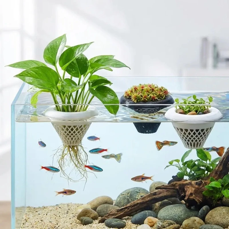 Maceta flotante para plantas d - Planted Aquarium Jar reseña y precio