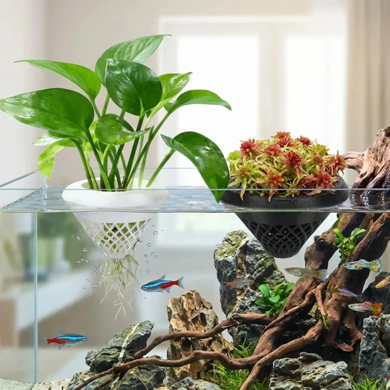 Maceta flotante para plantas d - Planted Aquarium Jar reseña y precio