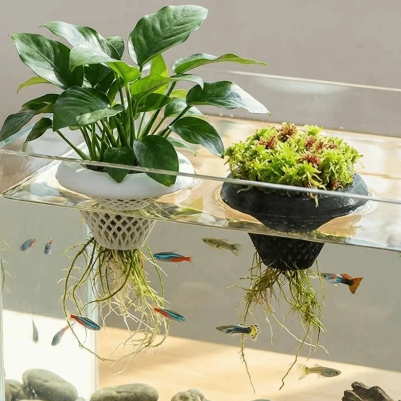 Maceta flotante para plantas d - Planted Aquarium Jar reseña y precio