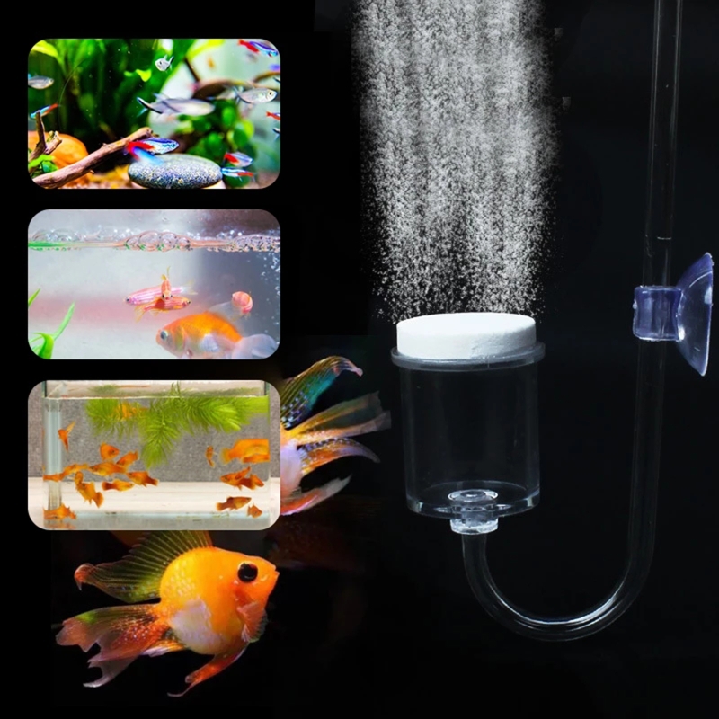 Juego de 4 piezas de difusor d - Aquarium Plant Live reseña y precio
