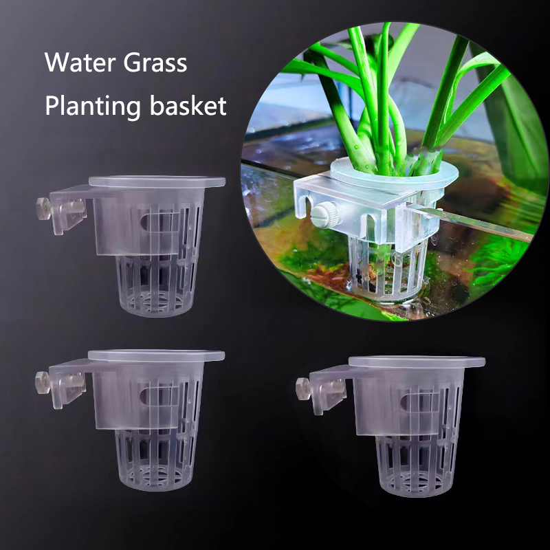 Cesta de plantación de acuario - Aquarium Plant Rings reseña y precio