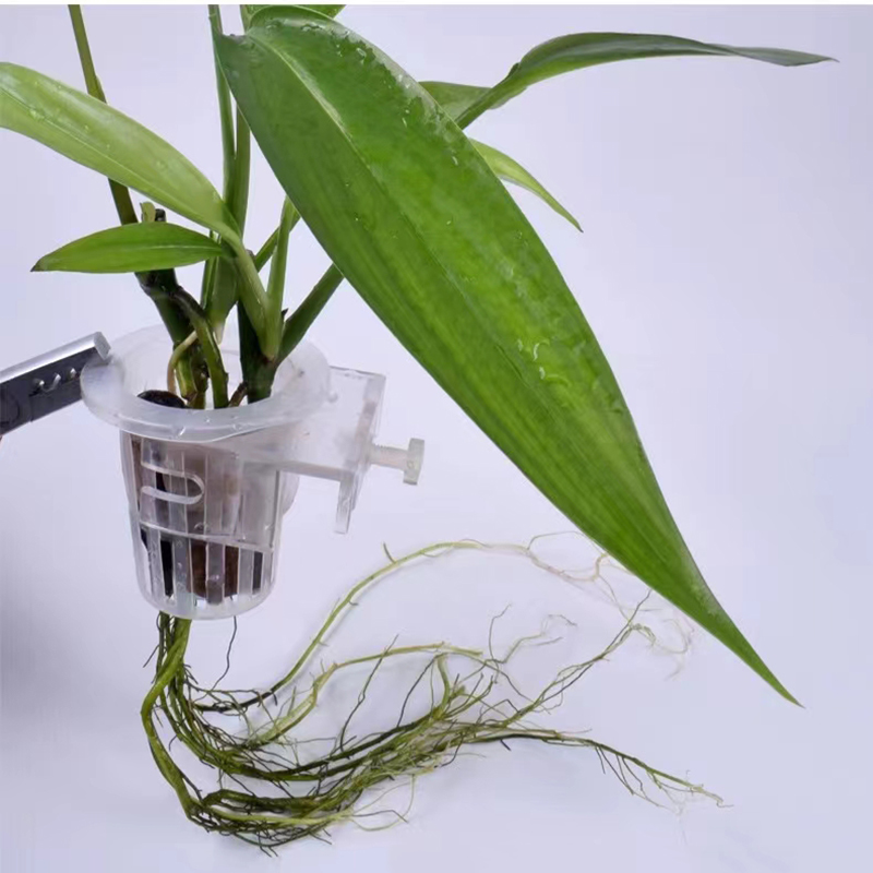 Cesta de plantación de acuario - Aquarium Plant Rings reseña y precio
