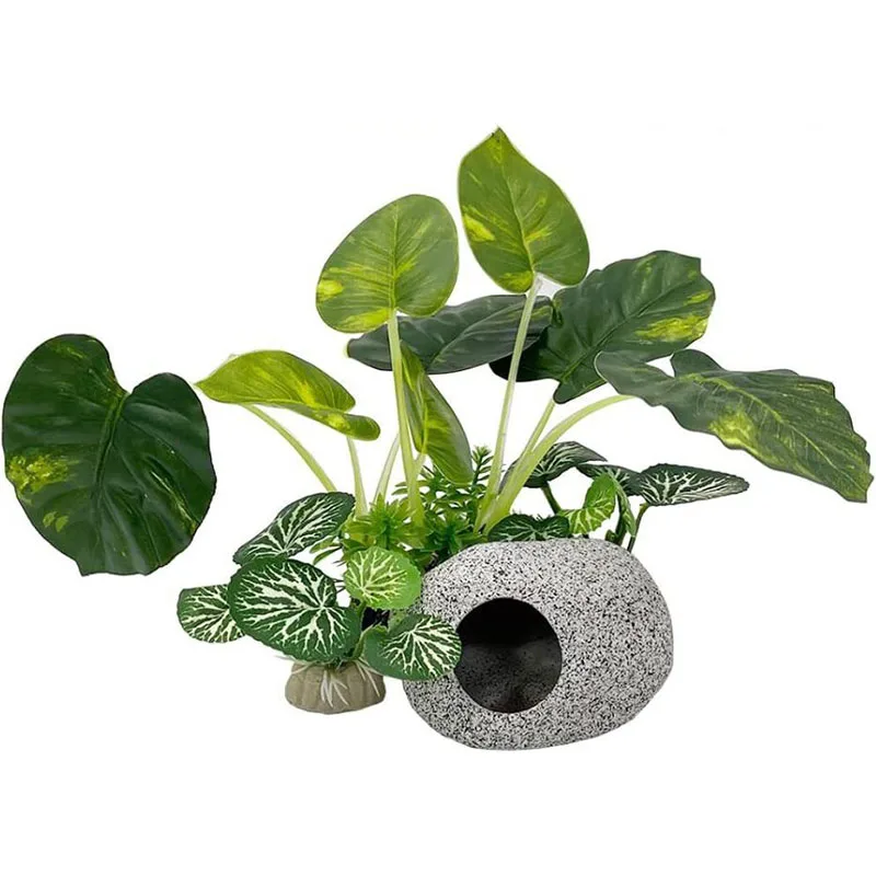 Pequeña hierba subacuática acu - Aquarium Planted Background reseña y precio