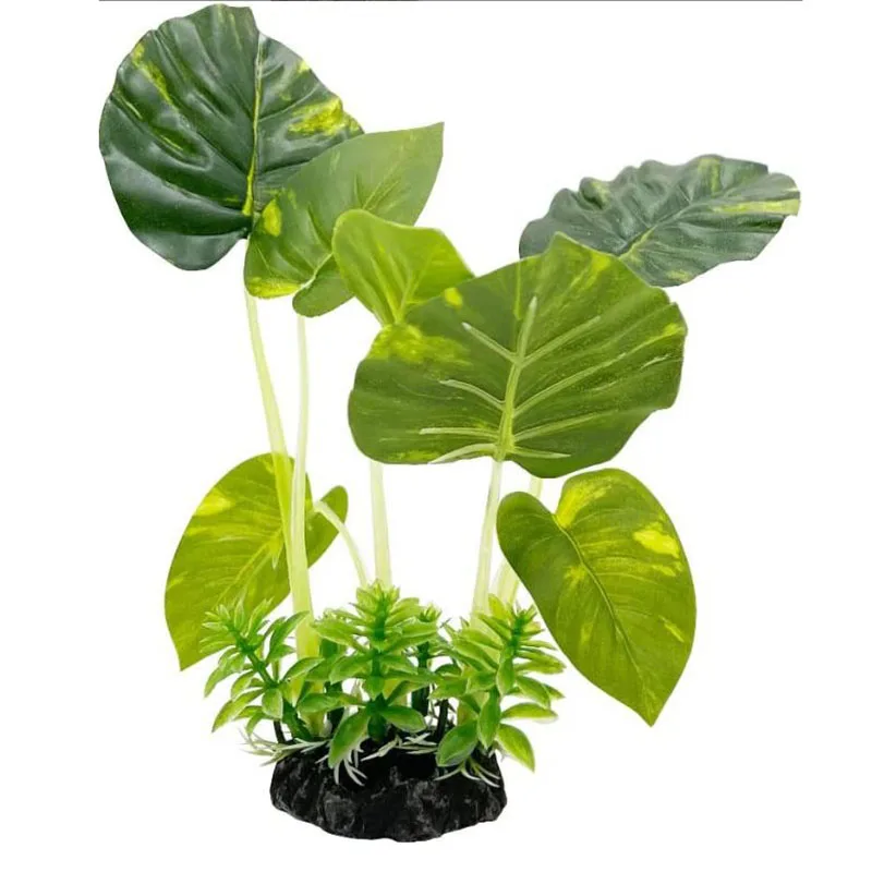 Pequeña hierba subacuática acu - Aquarium Planted Background reseña y precio