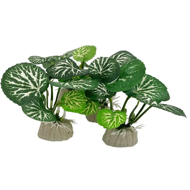 Pequeña hierba subacuática acu - Aquarium Planted Background reseña y precio
