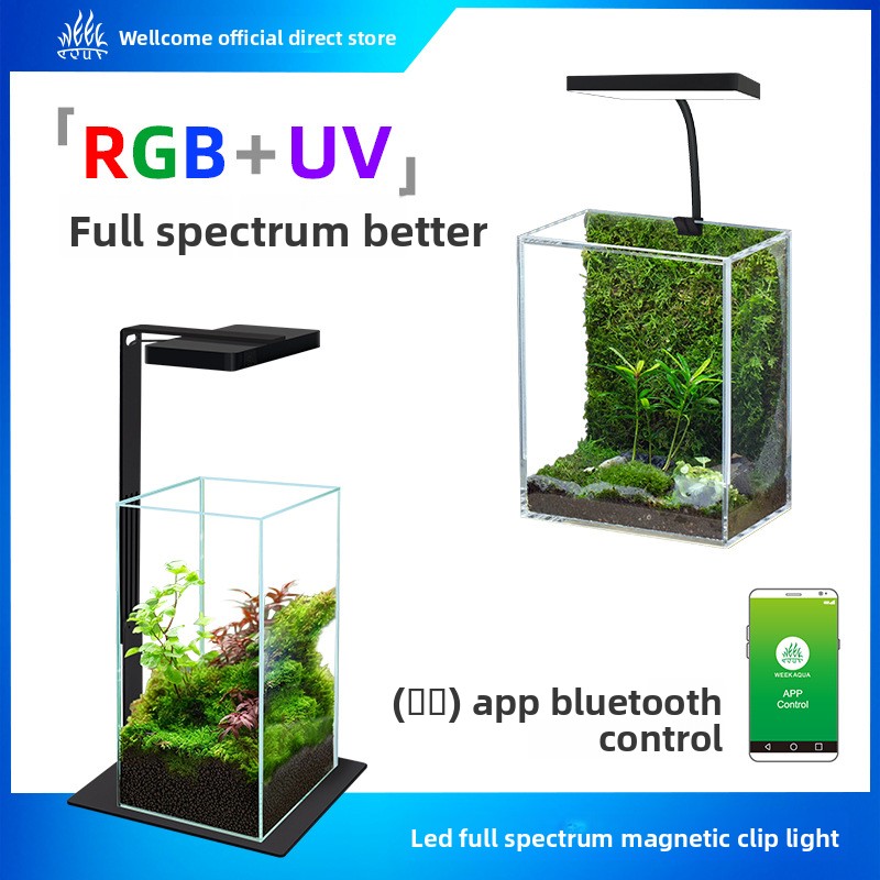 Semana Aqua Mini9Pro abrazader - Planted Aquarium Jar reseña y precio