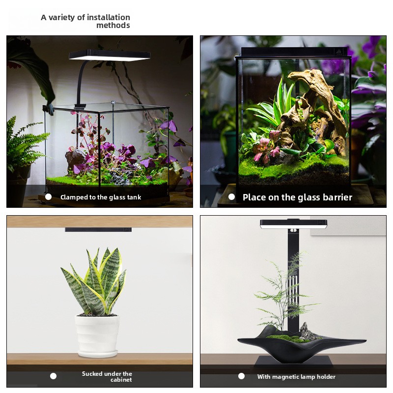 Semana Aqua Mini9Pro abrazader - Planted Aquarium Jar reseña y precio