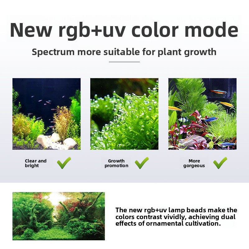 Semana Aqua Mini9Pro abrazader - Planted Aquarium Jar reseña y precio